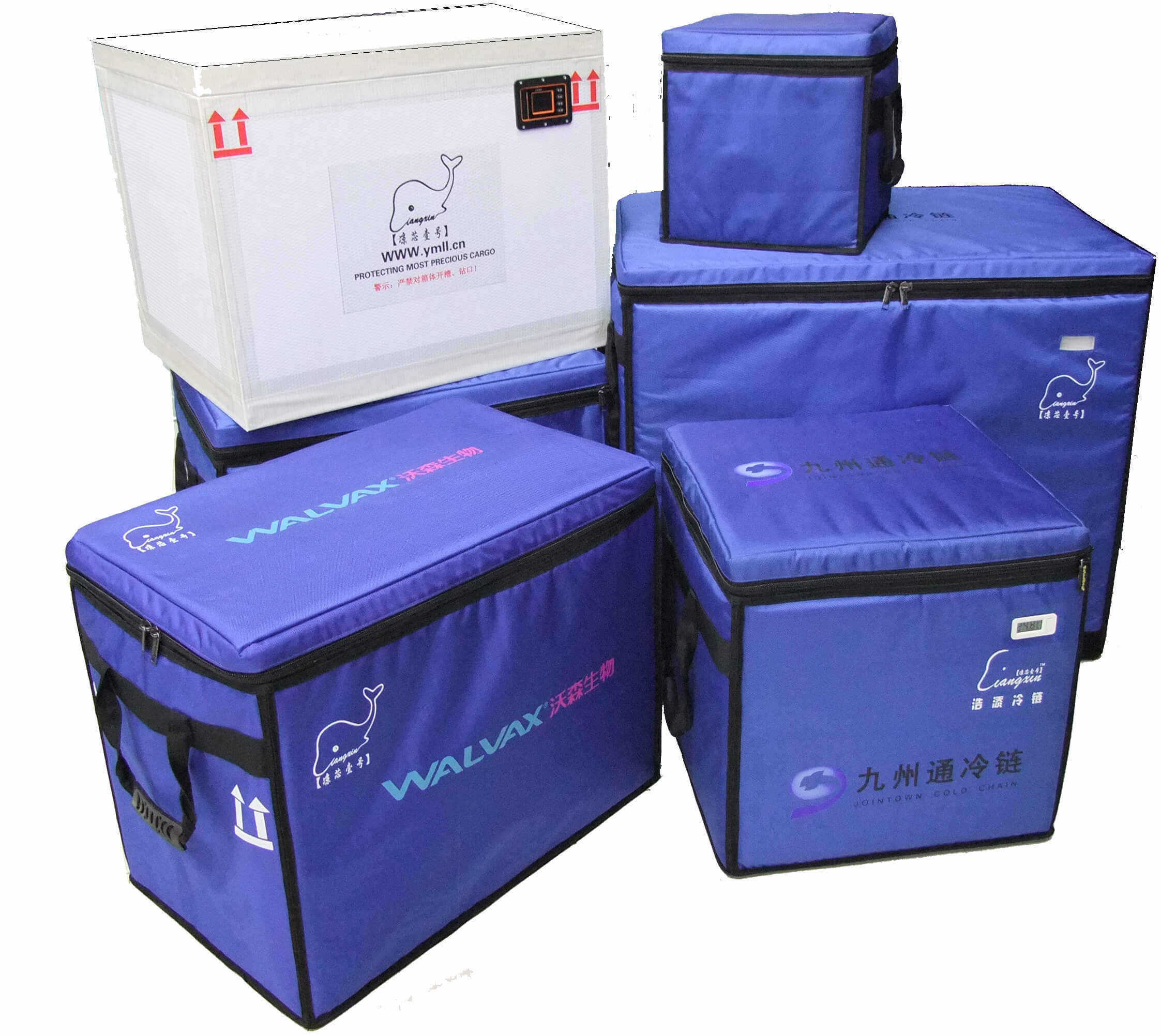 laboratory medical cooler box