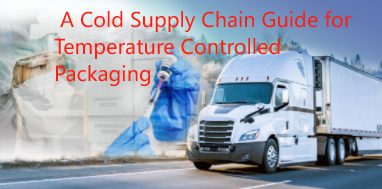  A Cold Supply Chain Guide for Temperature Controlled Packaging