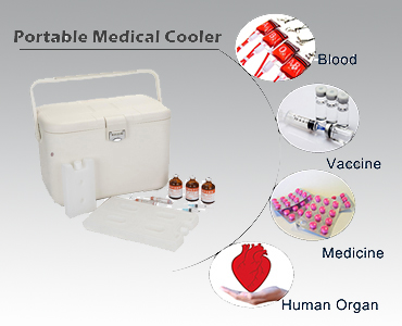 Portable Medical Carrier