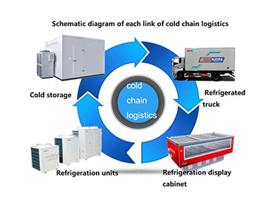 What is the medical cold chain logistic ?