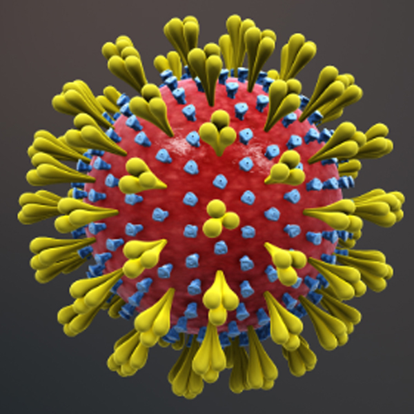 Novel Coronavirus which causes COVID-19 is 